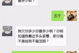 高阳高阳讨债公司服务