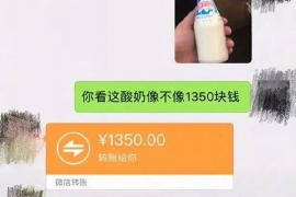 高阳遇到恶意拖欠？专业追讨公司帮您解决烦恼